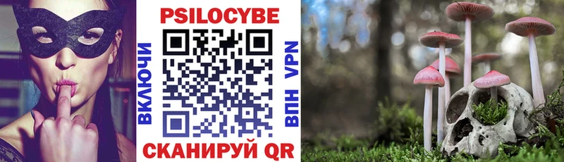 где купить наркоту  Горно-Алтайск  Псилоцибиновые грибы мухоморы 